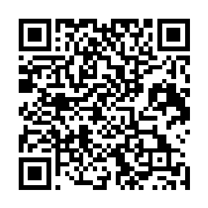 如今至少也得是能够承受至尊境界以上实力的木系灵物最佳二维码生成