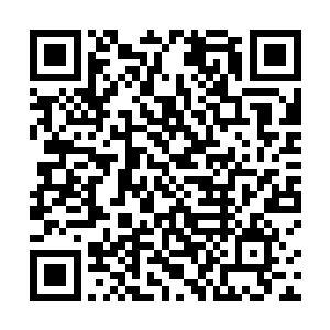 如今苍澜宗的弟子有谁不知道许紫烟是一个先天仙器师二维码生成