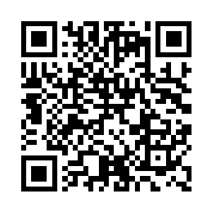 如今蛋圆圆又出现在十六号灯塔基地二维码生成