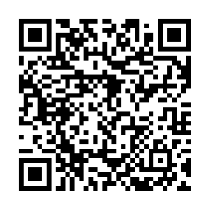 如今见到一个仙君初期巅峰竟然不理会自己族长的话二维码生成