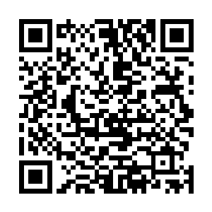 如今见到一个自己看不清修为的师门兄弟站在自己的面前二维码生成