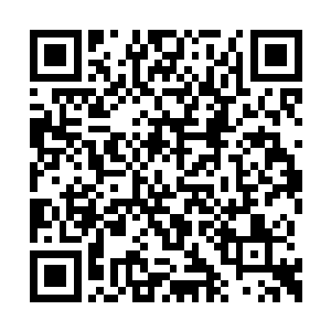 如今许琴扬才是上元大陆真正的圣级之下第一人二维码生成