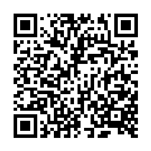 如今许紫烟以她的实力和胸怀已经征服了包括仙主二维码生成