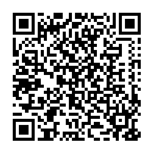 如今许紫烟这些极品先天仙宝内的芥子动力区放置的可不是极品仙晶二维码生成