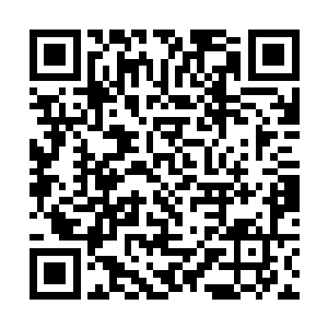 如今这世俗界也就剩我们许家和杨家两个老牌家族了二维码生成