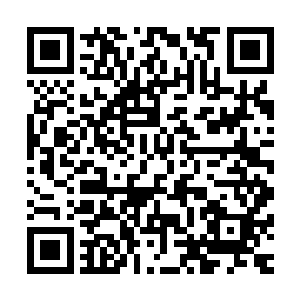 如今这个社会像赵世伦这样有身份地位的人比你王哥吃香多了二维码生成