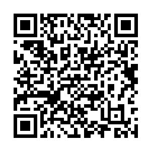 如今这些霍君白以灵气召出的鲨鱼也可以轻松咬破二维码生成