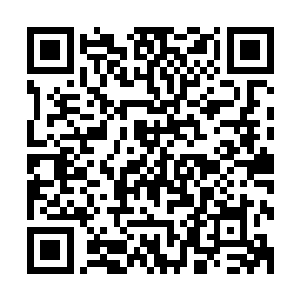 如今这十个大乘期修士的攻击也同样没有将河伯仙府损伤分毫二维码生成
