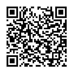 如今连仓库的登记管理和人事管理也都是她一把抓二维码生成