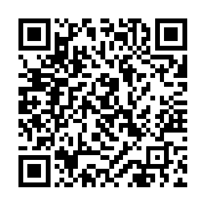 如今那十一个修士和呼啸小队的修士都已经脸色苍白二维码生成