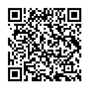 如今那巫咸国的国主竟然能以一己之力杀我掌门二维码生成