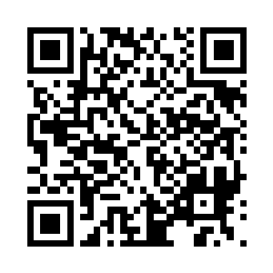 如今龟丞相修为已经到举霞初期巅峰的境界二维码生成