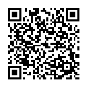 如何在这次狂欢里玩得开心才是他们最最在乎的事情二维码生成