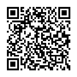 如何将御兽圈套在封兽球内正在沉睡的神兽之上二维码生成