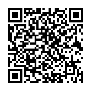 如何我都是要珍惜这得之不易的第一次修订三界律条的机会二维码生成