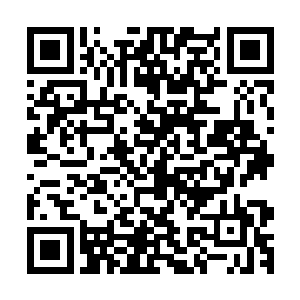 如何肯只吃这几个人就满足了--而且倭奴忍者都有一股怪味二维码生成