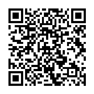 如何能够服众别说现在天一道的妖族仙修归你管辖二维码生成