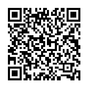 如受了惊吓的兔子般快速躲在了一处高大的石头后边二维码生成