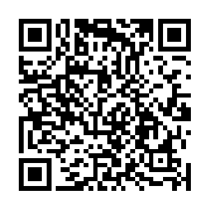 如同一个永动机器一般地不停地斩杀着混沌兽和域外天魔二维码生成