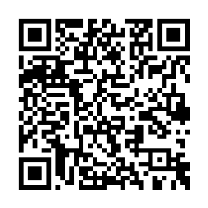 如同一座血山对着血瞳獠鞭射来的道道血光压去二维码生成