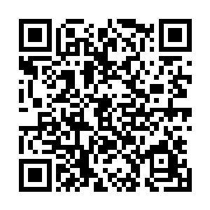 如同一道闪电一般朝着树上跳跃过去很快消失在众人的眼中二维码生成