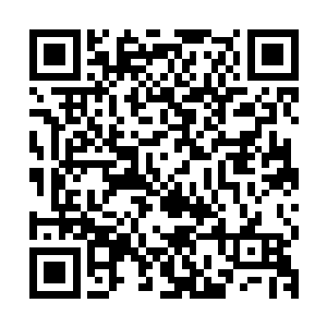 如同一道黑色流光的愤怒便已经狠狠轰击在了波塞冬的背心之处二维码生成