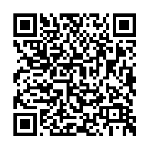 如同上次阿九在长公主和昭华郡主面前做得一样二维码生成