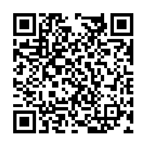 如同冤魂恶鬼一般的虚影也再度从那些建筑中涌出二维码生成