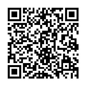 如同堤坝一样直接将那激荡而来的血浪给阻挡了下来二维码生成