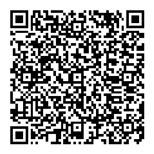 如同天地叹息每一尊准圣极限大能陨落都会引发天悲地戚颗颗鲜血又像是泪珠鲜红而又苍凉自风清扬身旁坠落滴洒在虚空当中二维码生成