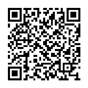 如同夭华没看到萧黎一样并没有看到乌云的身影二维码生成
