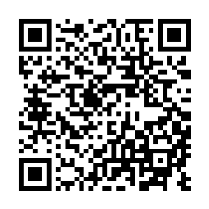 如同火影一般存在的甲贺大宗师竟然亲自邀请他们上雪樱山二维码生成