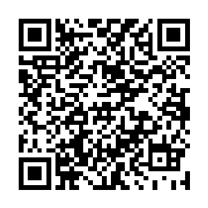 如同血色修罗地狱一般骇人的场景让两个血修震惊无比二维码生成