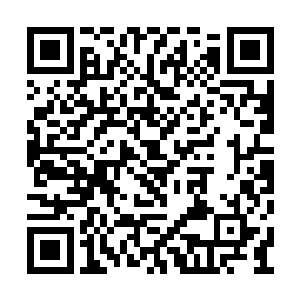 如同被孩童抠的斑驳的地毯一样的草坪印入眼帘二维码生成