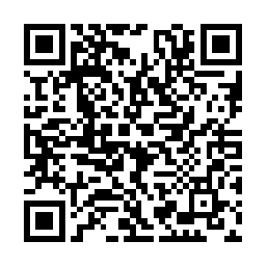 如同遛鸟一样不紧不慢的迈步走到了傀儡人偶身边二维码生成