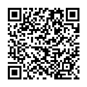 如往常一般非要不服气的顶上一两句的情况却大大减少二维码生成