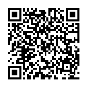 如意顺着青石漫就的小路快步走到太湖石堆就的假山处二维码生成