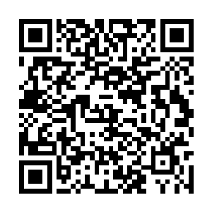 如果……我有办法将修罗王和你弟弟的灵魂分开呢二维码生成