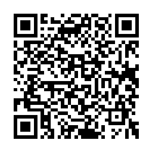 如果……我说……没有背叛你……你……信不信二维码生成