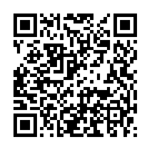 如果……我说如果……如果我有机会救很多人的命二维码生成