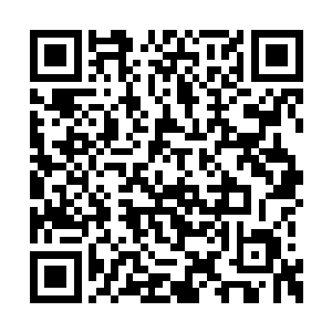 如果一个人的智商并不会随着年龄的增加而增长二维码生成