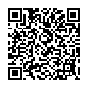 如果一个月都无法达到符神人境界初期那就是属于笨蛋了二维码生成