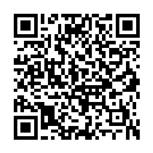 如果一定要说lcd这支队伍现在最强的两个点的话二维码生成