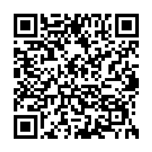 如果三天之内我们找不到解决人面蚊的病毒方案二维码生成