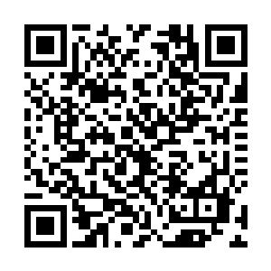 如果下一刻张潇晗和夜留香一起大打出手都不会奇怪了二维码生成
