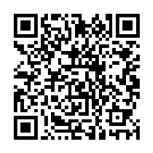 如果不低下身子的话都没办法和坐在轮椅上的林清源握手二维码生成