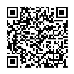 如果不修炼不往更高层出发的话就只有陨落的份二维码生成