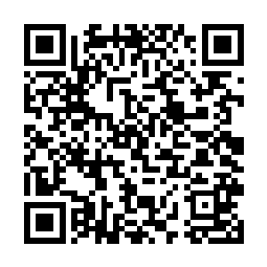 如果不喜欢或者不需要年轻漂亮的游艇女郎也没关系二维码生成