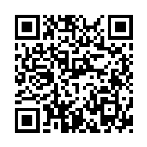 如果不是严默和风语老人都说不用管他们二维码生成