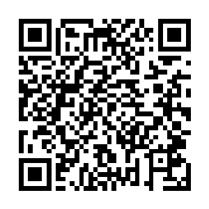 如果不是为了劝阿父她才不会着急的说出那么没脑子的话二维码生成